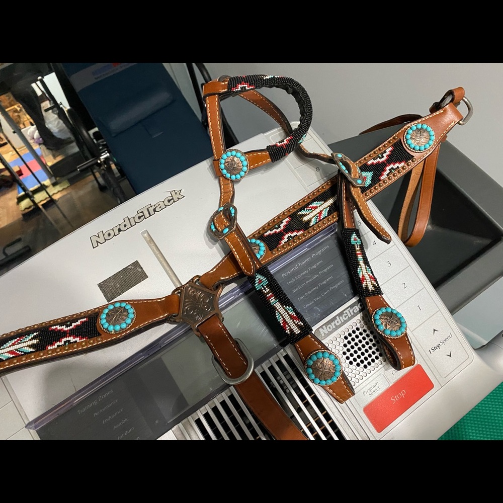 Tribal Breast plate and bridle set with matching bell boots size large